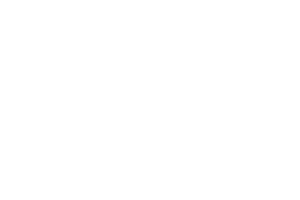 customer-logo-shire